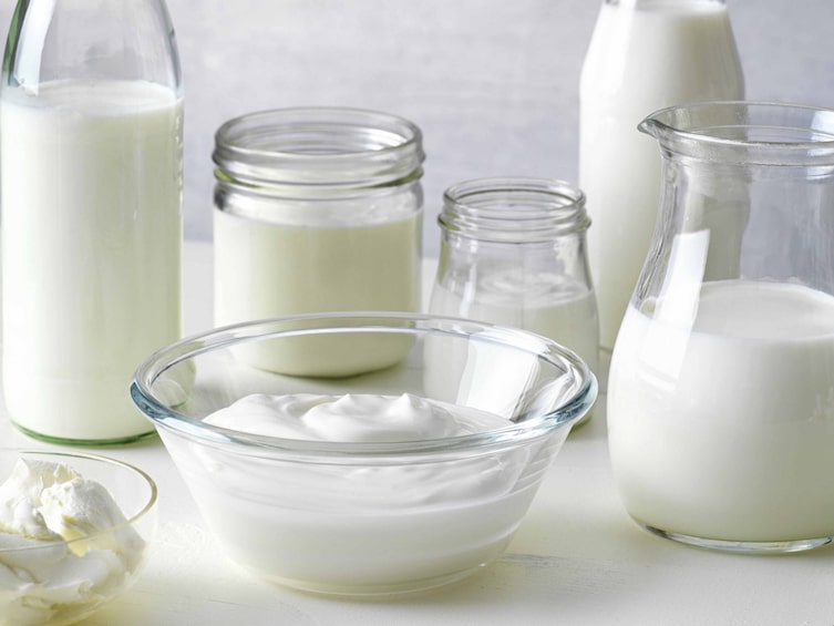 Milchkühe, Milchprodukte, Milch, wie macht die Kuh Milch