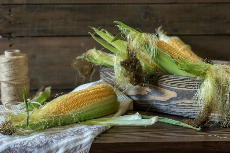 Gute Küche, Küchenwissen, Mais, Maiskolben, Korn