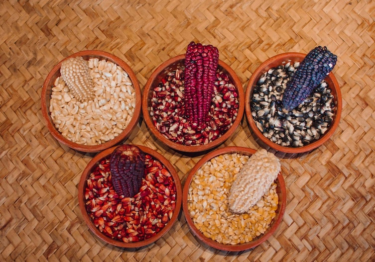 Küchenwissen, Maissorten, schwarzer Mais, roter Mais, violetter Mais