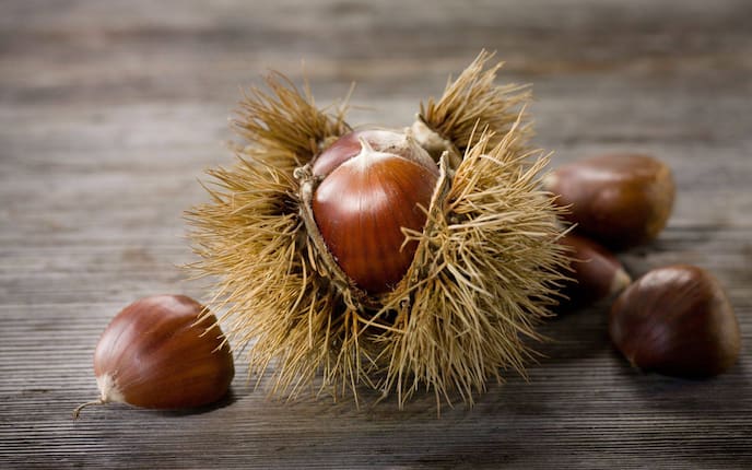 Esskastanien, Edelkastanie, Maronen, Vitamine, Inhaltsstoffe