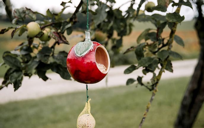 Vogelhaus Apfel