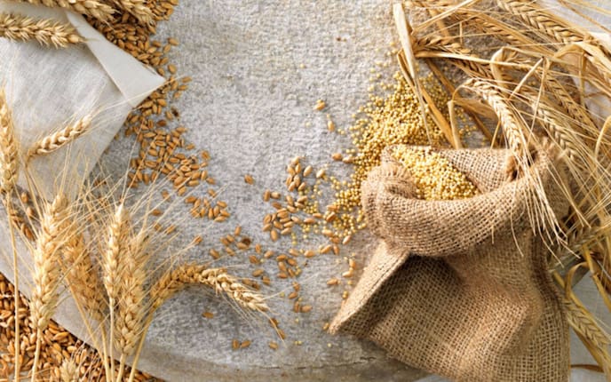 Mehlkunde: Getreidesorten