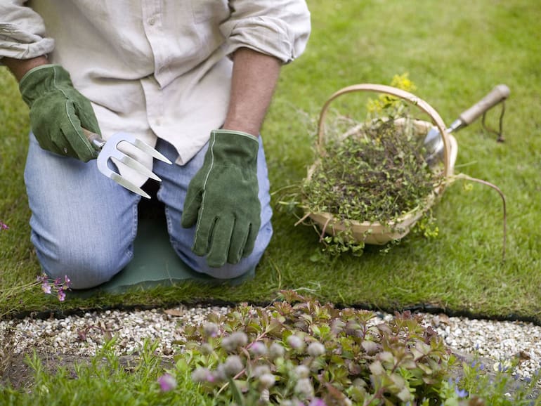 Gartenarbeiten nach dem Mondkalender - Servus