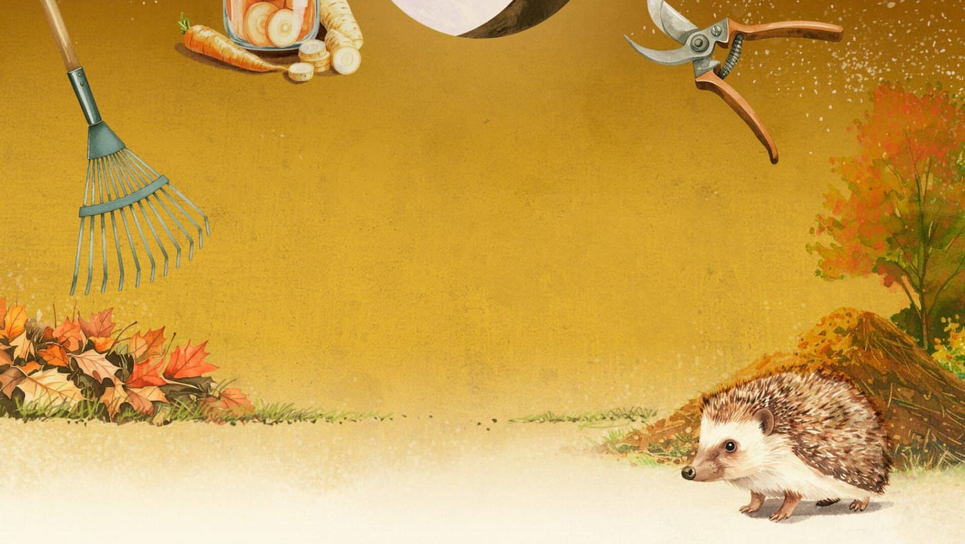 Illustration zum Mondkalender Oktober: Ein Laubrechen, ein Einmachglas mit Karotten und Pastinaken, ein Vollmond, eine Gartenschere, ein Igel vor einem Laubhaufen und herbstlich verfärbte Bäume auf warmem Goldgrund.