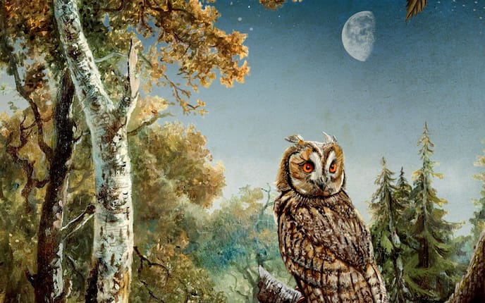 Mond, Mondholz, mondfühlige Bäume, Wald, Baum Eule, Illustration, Nacht, Zweig, Wald