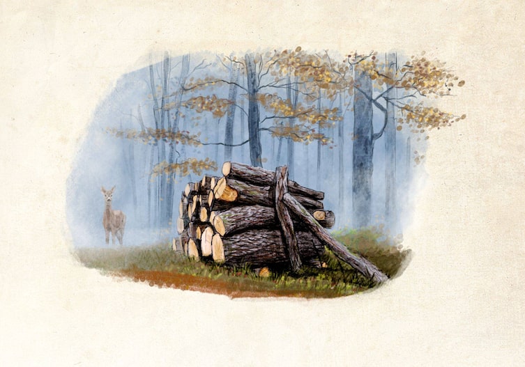 Mond, Mondholz, Holzstapel, Illustration, Reh