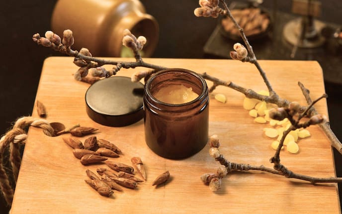 Naturapotheke, Pappelknospensalbe