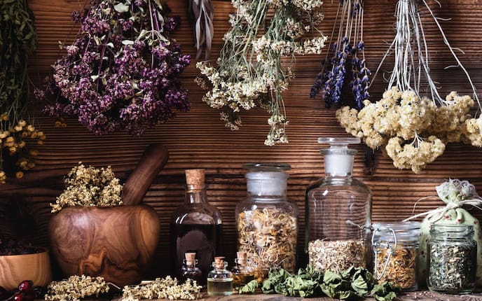 Kräuter, Tinkturen und Elixiere, Servus