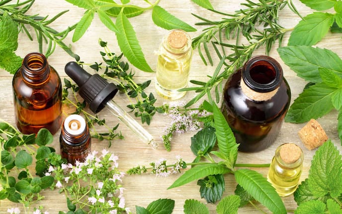 Kräuter und ihre ätherischen Öle, Servus, Naturapotheke