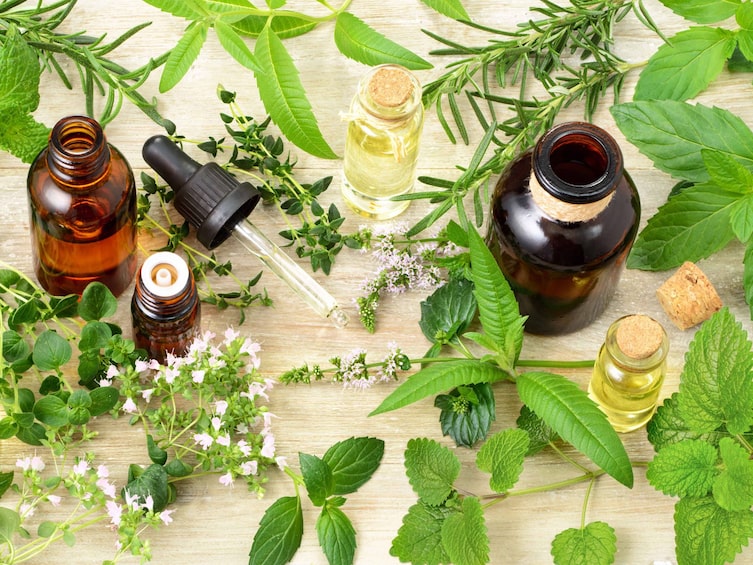 Kräuter und ihre ätherischen Öle, Servus, Naturapotheke