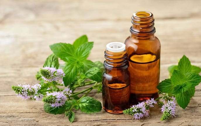 Minzöl und frische Minze (Bild: Getty Images)