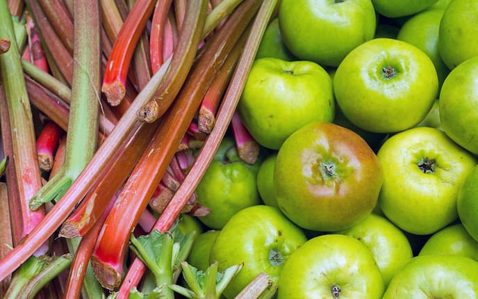 Rhabarber, Verdauung, Servus