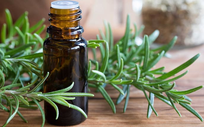 Rosmarin, Tropffläschchen, Naturapotheke, Servus