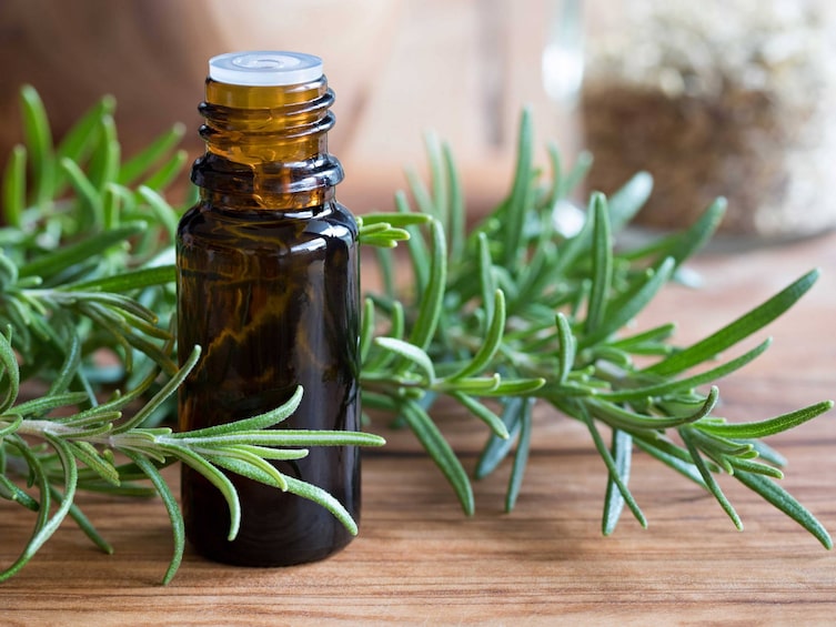 Rosmarin, Tropffläschchen, Naturapotheke, Servus