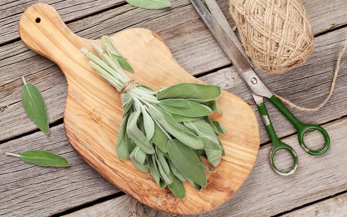 Frische Salbeiblätter (Bild: Getty Images)