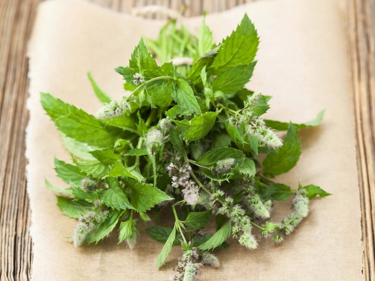 Minze, Haare, Aufhellen