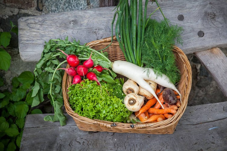 Gemüse, Heilkunde, Küche, Servus