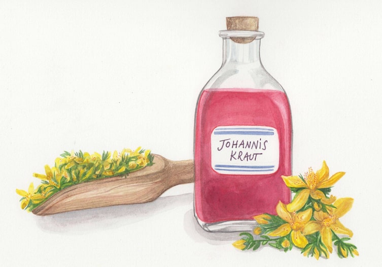 Johanniskrautlikör in der Flasche, Illustration, Anleitung