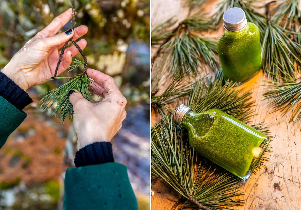 Mit duftenden Nadeln zaubert die Kräuterfrau einen waldigen Badezusatz.