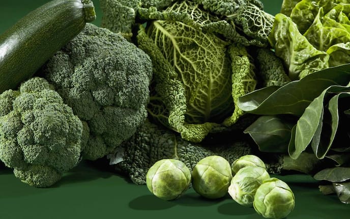 Grünkohl, Rosenkohl, Kohlsprossen, Brokkolo, Zucchini, Superfood, gesunde Lebensmittel