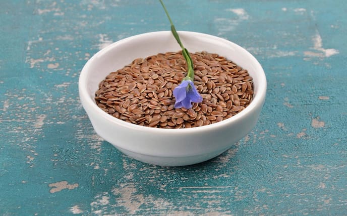 Leinsamen und Lein in Schale auf verwittertem Beton