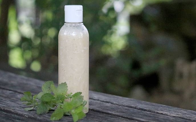 Shampoo, Melisse, Zitronenmelisse