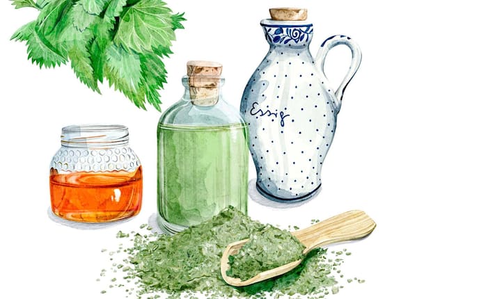 Naturapotheke, Brennnesselspülung, Karina Reichl, Fräulein Grün