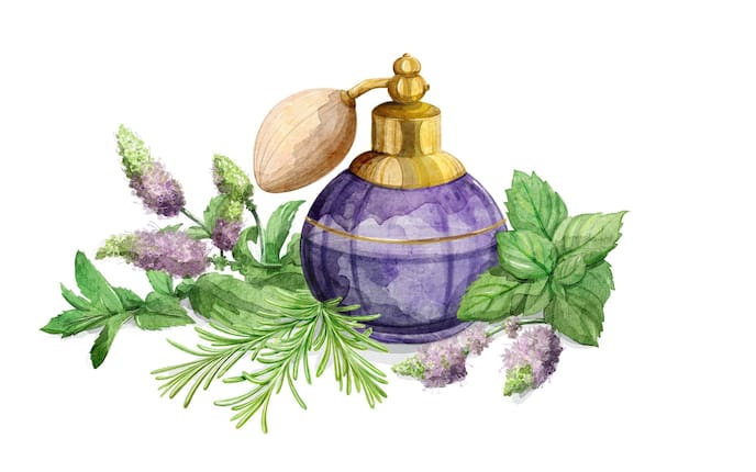 Naturapotheke, natürlich schön, Erfrischungsspray, Rosmarin, Minze