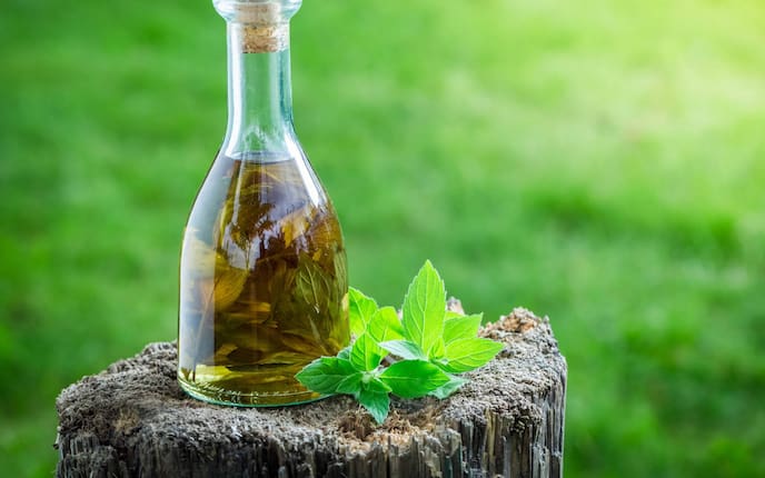 Minzöl in einer Glasflasche (Bild: Getty Images)