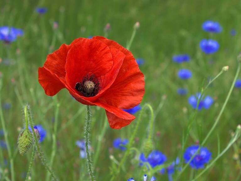Die unterschätzte Kraft der Farben - Servus