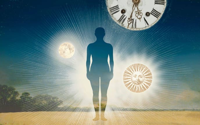 Organuhr, Organe, Uhrzeiten, Wirkungen