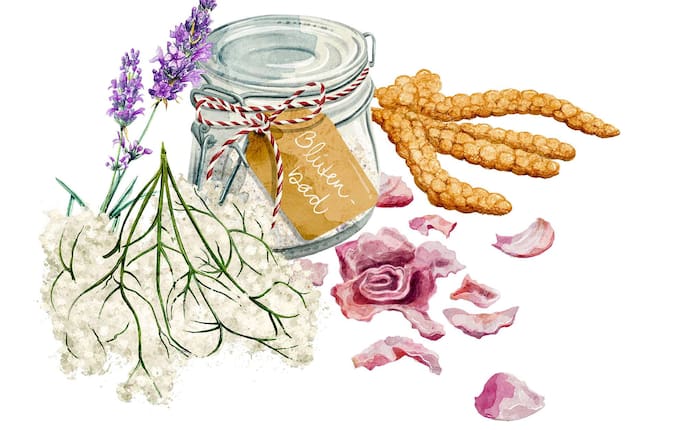 Blütenbad, Illustration, Rosen, Holunder