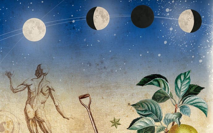 Mond, Mondphasen, Ernährung