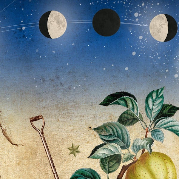 Mond, Mondphasen, Ernährung