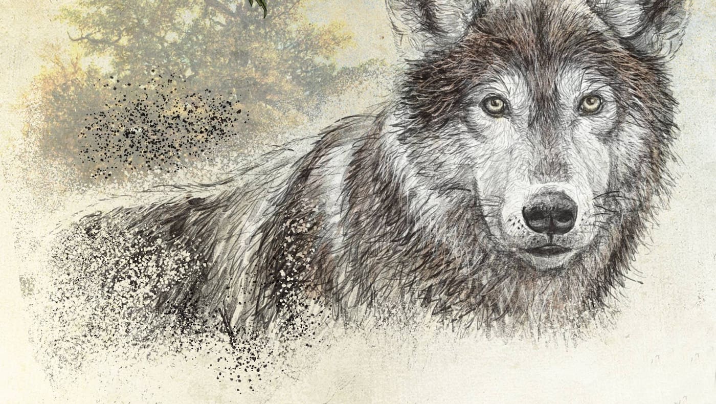 Wolf (Illustration: Andreas Posselt)