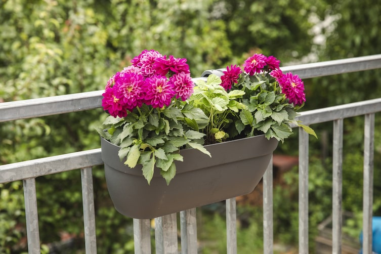 Servus Garten Dekoration