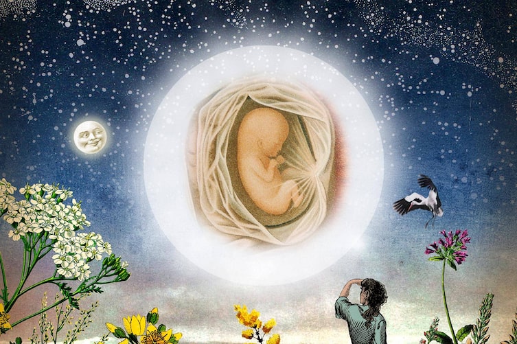 Hebamme, Podcast, Geburt, Illustration, Baby im Bauch