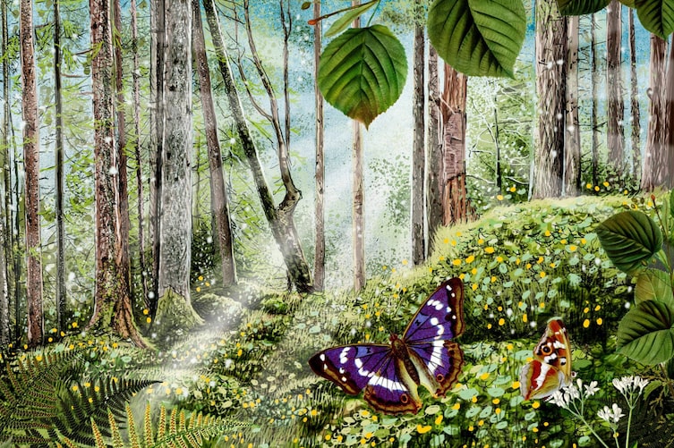 Der heilsame Duft des Waldes (Illustration: Andreas Posselt)
