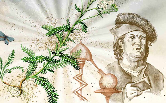 Das alte Wissen des Paracelsus (Illustration: Andreas Posselt)