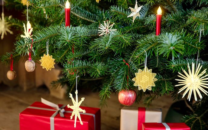 Christbaum, Weihnachtsbaum, Podcast, Strohsterne