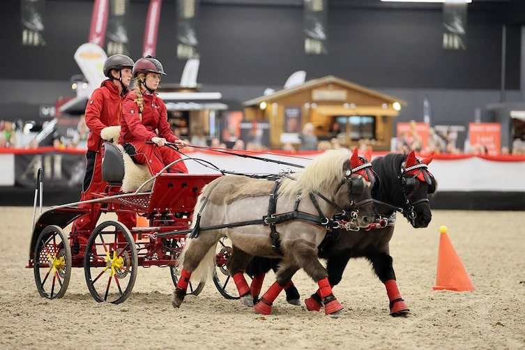 AMADEUS HORSE INDOORS: Vorführung einer Ponykutsche