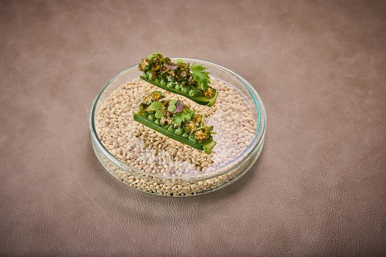 Zucchini – Liebstöckel – Pistazien Klima Koch Ikarus