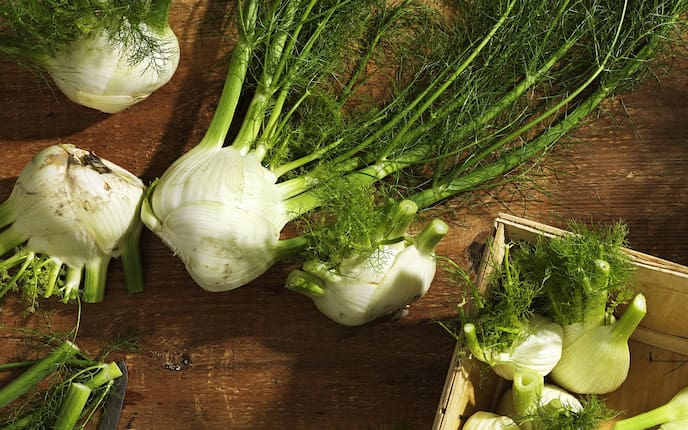 Fenchel-Rezepte (Bild: Eisenhut & Mayer)