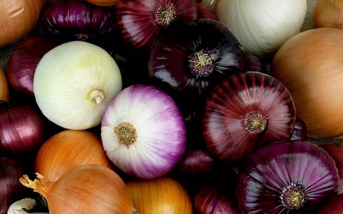 Zwiebeln, Haushalt, Servus