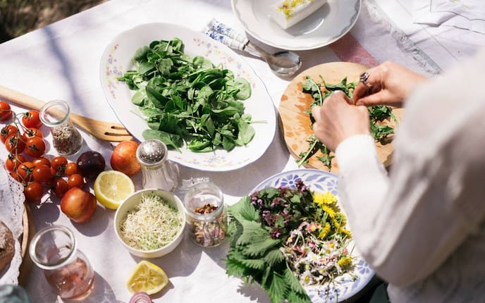 Salat, Blütensalat, Spinat, Gänseblümchen, Heilkräuter, Tomaten, Gewürze