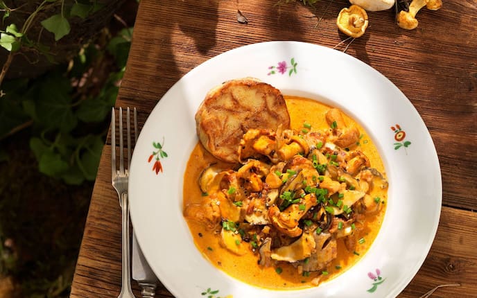 Waldschwammerl-Ragout mit Semmelknödeln (Bild: Eisenhut & Mayer)