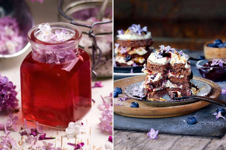 Rezepte mit Flieder; Fliederblüten essen, Fliedergelee, Fliedertörtchen