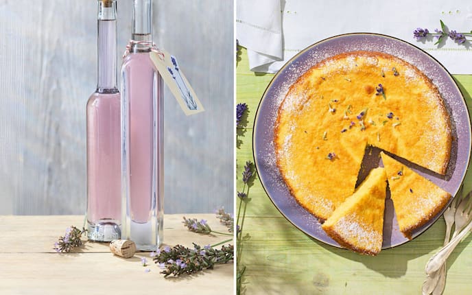 Vom duftenden Sirup bis zur cremigen Torte – so herrlich schmeckt Lavendel.