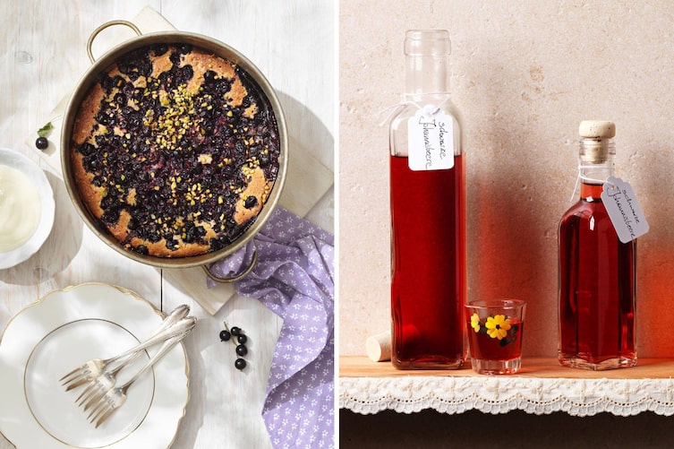 Im Kuchen, als Likör oder als Sirup: Schwarze Johannesbeeren (schwarze Ribiseln) lassen sich vielfältig in der Küche verwerten.
