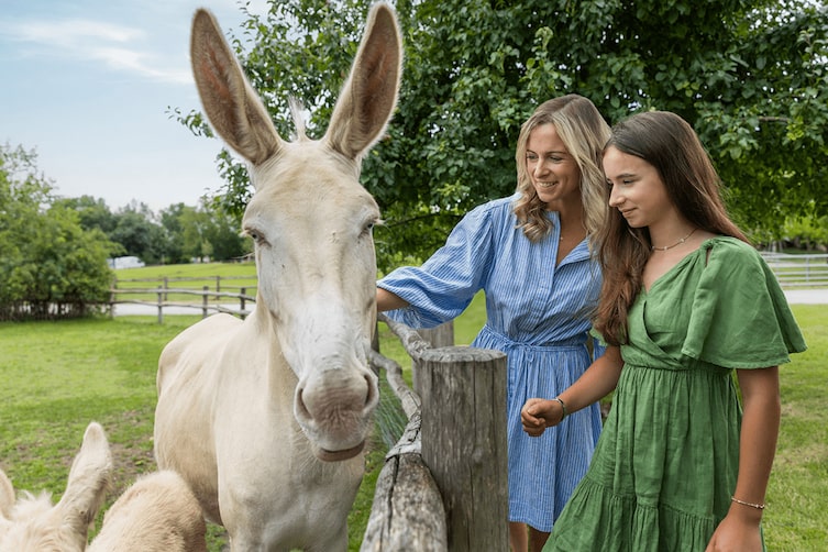 Ein weißer Esel und eine Mama mit ihrer Tochter im Grünen.